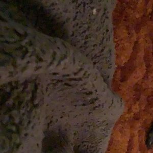 Meet your Posher, Silvana